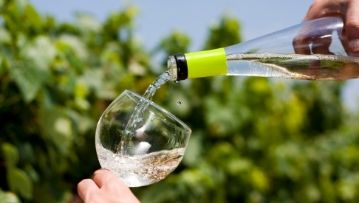 hand pouring white wine into glass vineyard